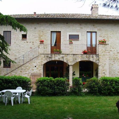 Agriturismo Il Podere Petrignano Ngoại thất bức ảnh