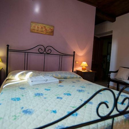 Agriturismo Il Podere Petrignano Ngoại thất bức ảnh