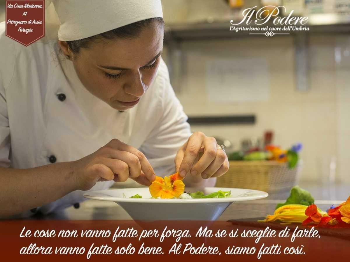 Agriturismo Il Podere Petrignano Ngoại thất bức ảnh