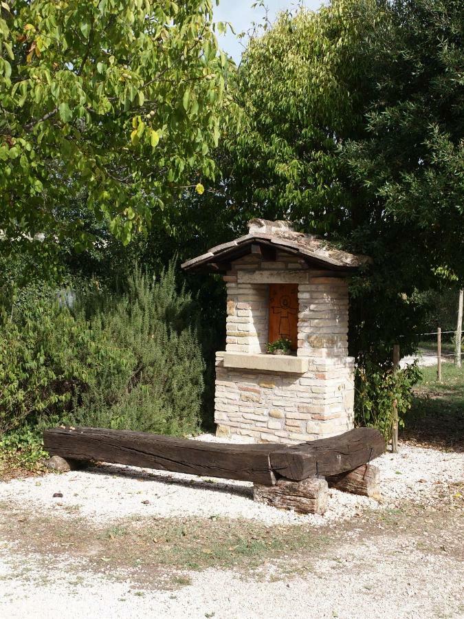 Agriturismo Il Podere Petrignano Ngoại thất bức ảnh