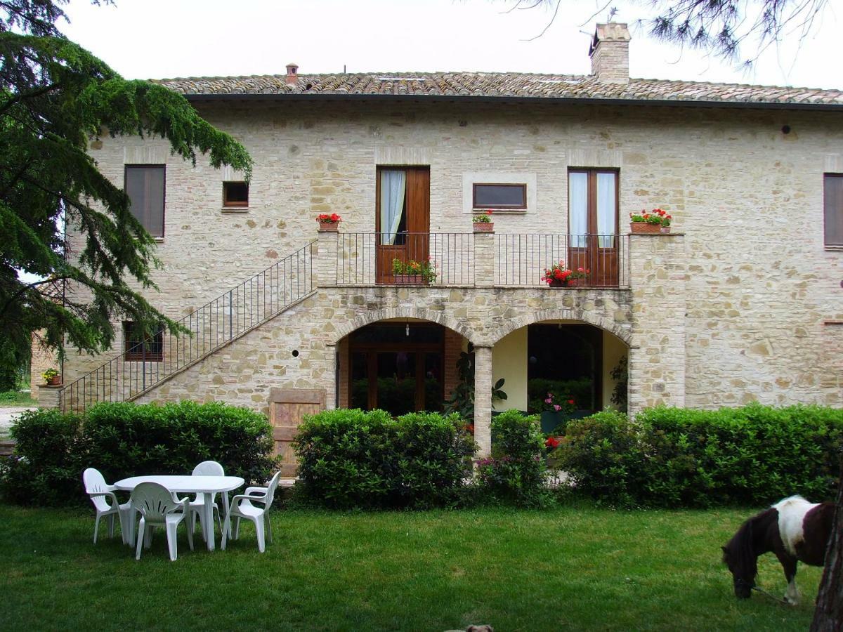 Agriturismo Il Podere Petrignano Ngoại thất bức ảnh
