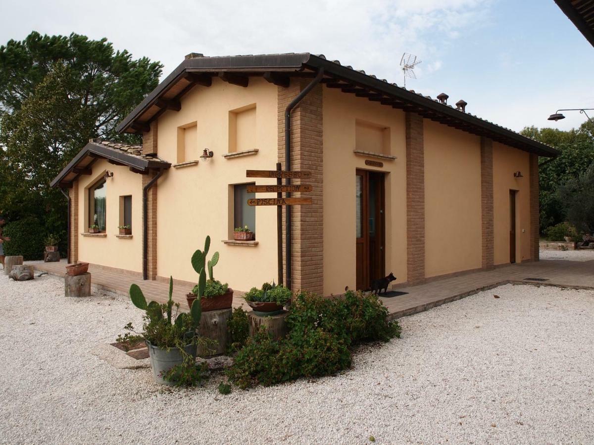 Agriturismo Il Podere Petrignano Ngoại thất bức ảnh