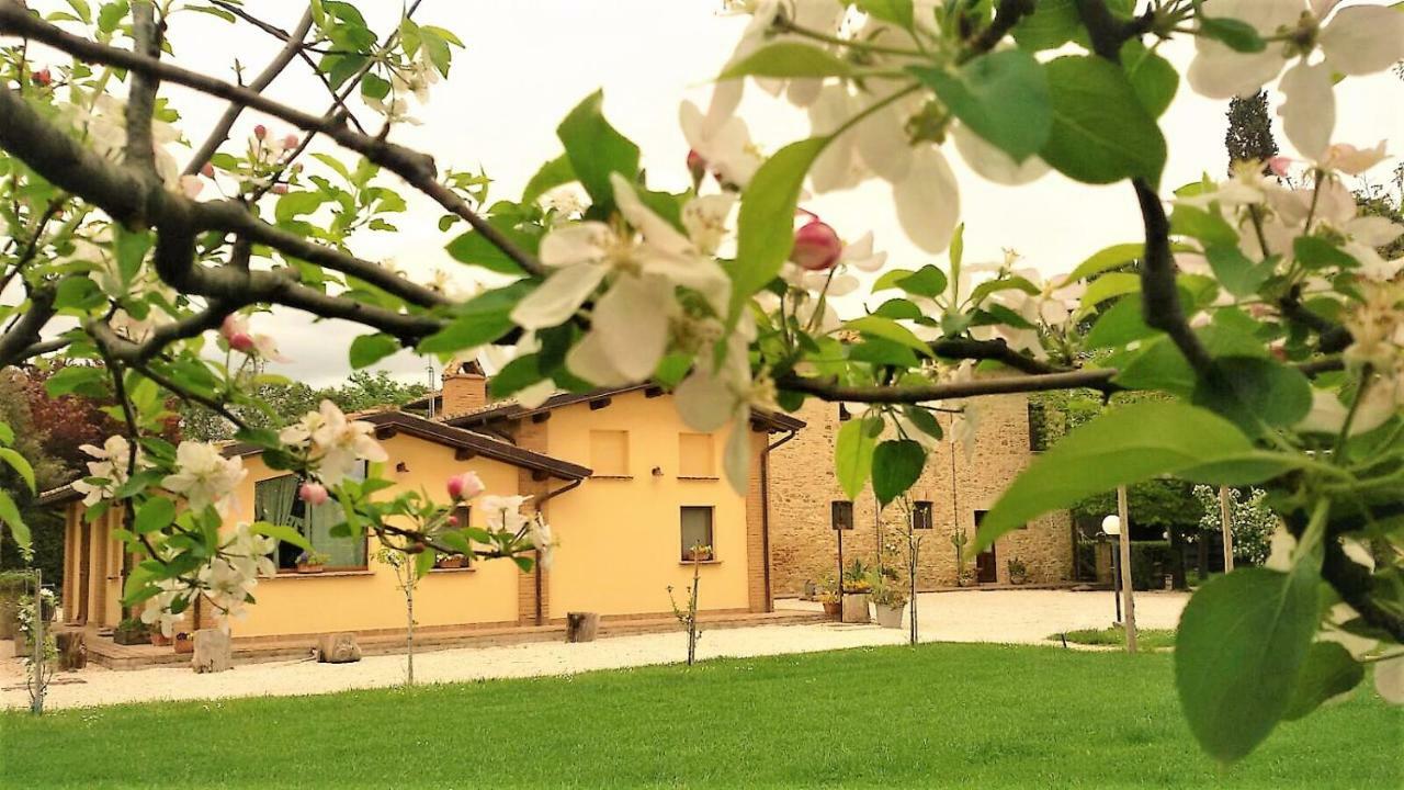 Agriturismo Il Podere Petrignano Ngoại thất bức ảnh