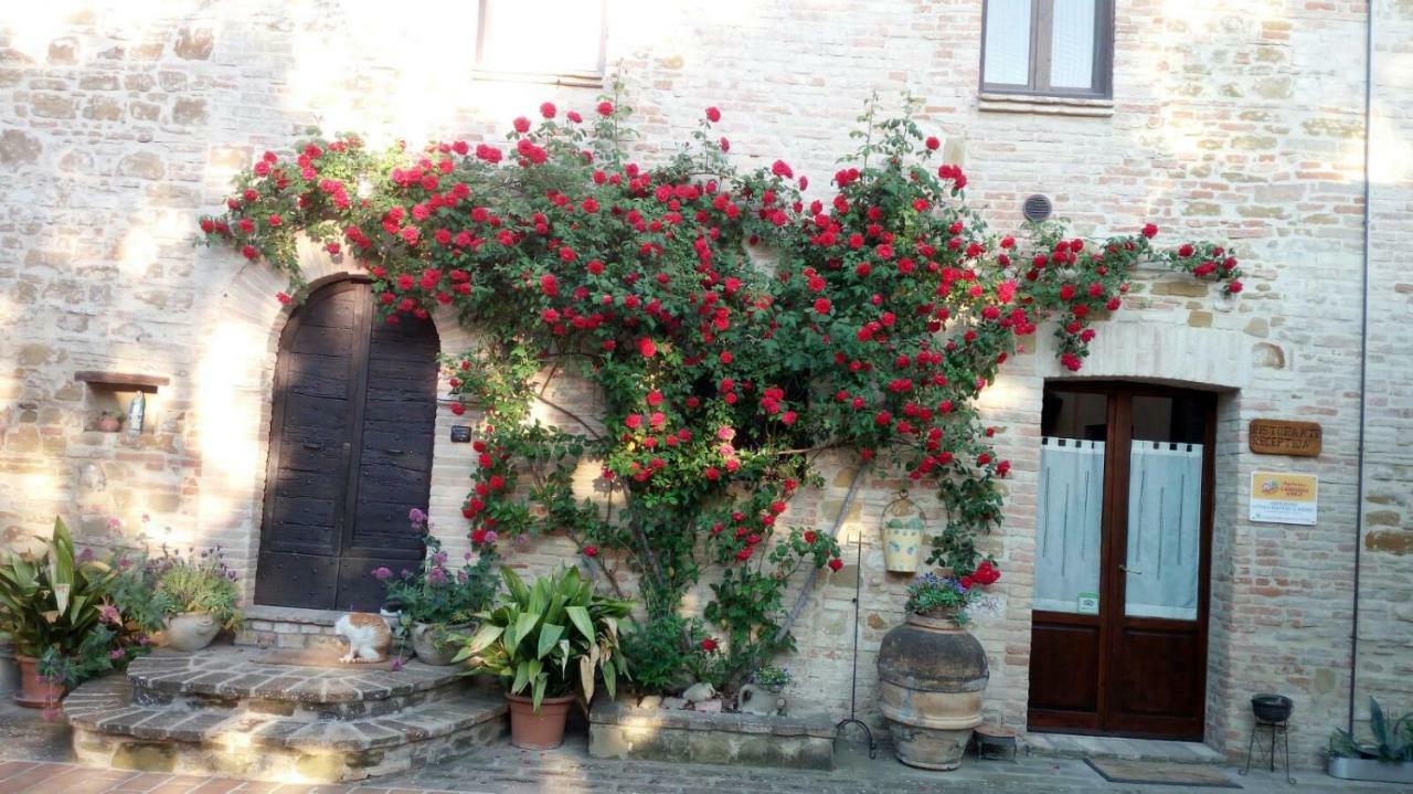 Agriturismo Il Podere Petrignano Ngoại thất bức ảnh
