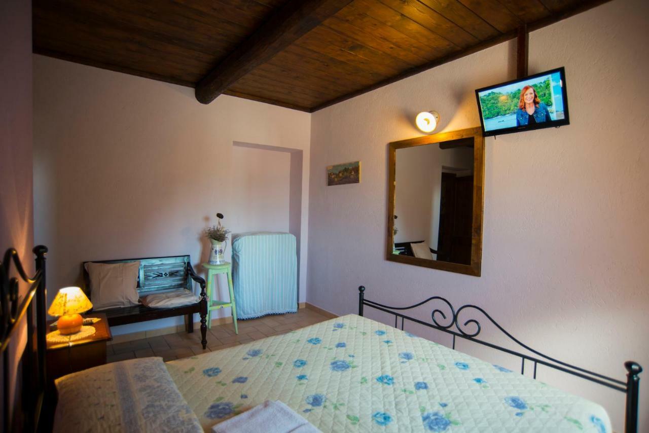 Agriturismo Il Podere Petrignano Ngoại thất bức ảnh