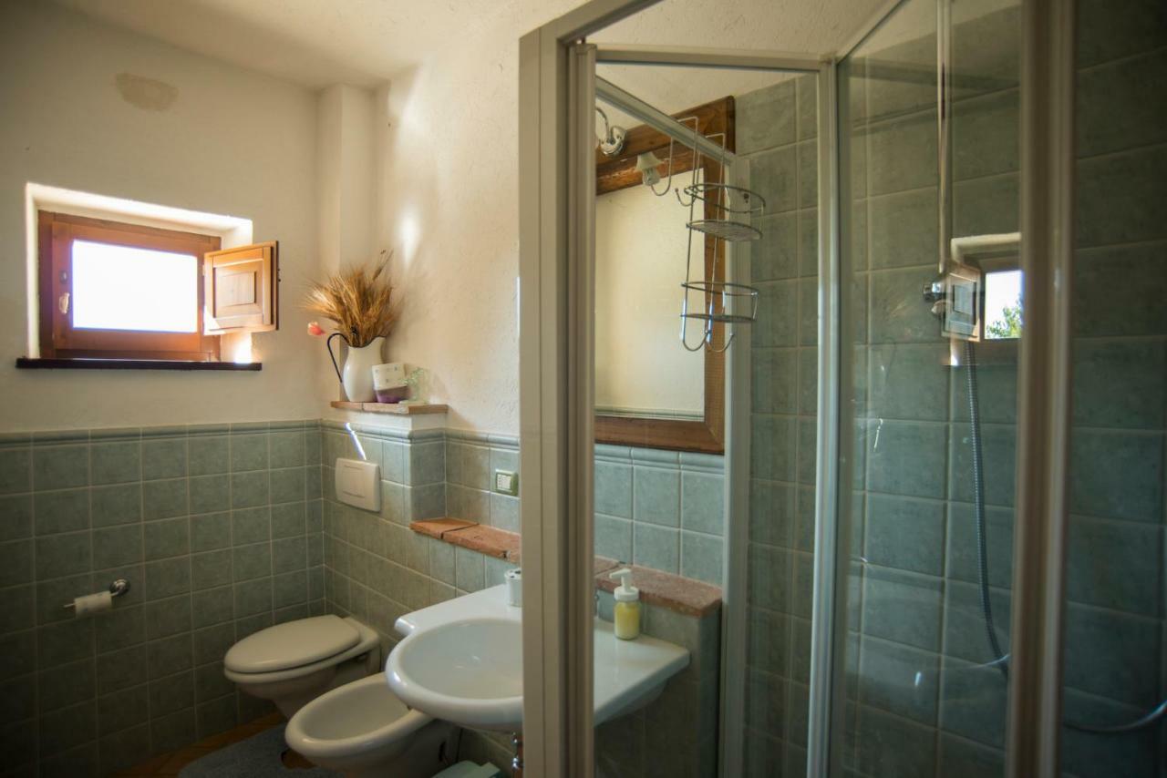 Agriturismo Il Podere Petrignano Ngoại thất bức ảnh