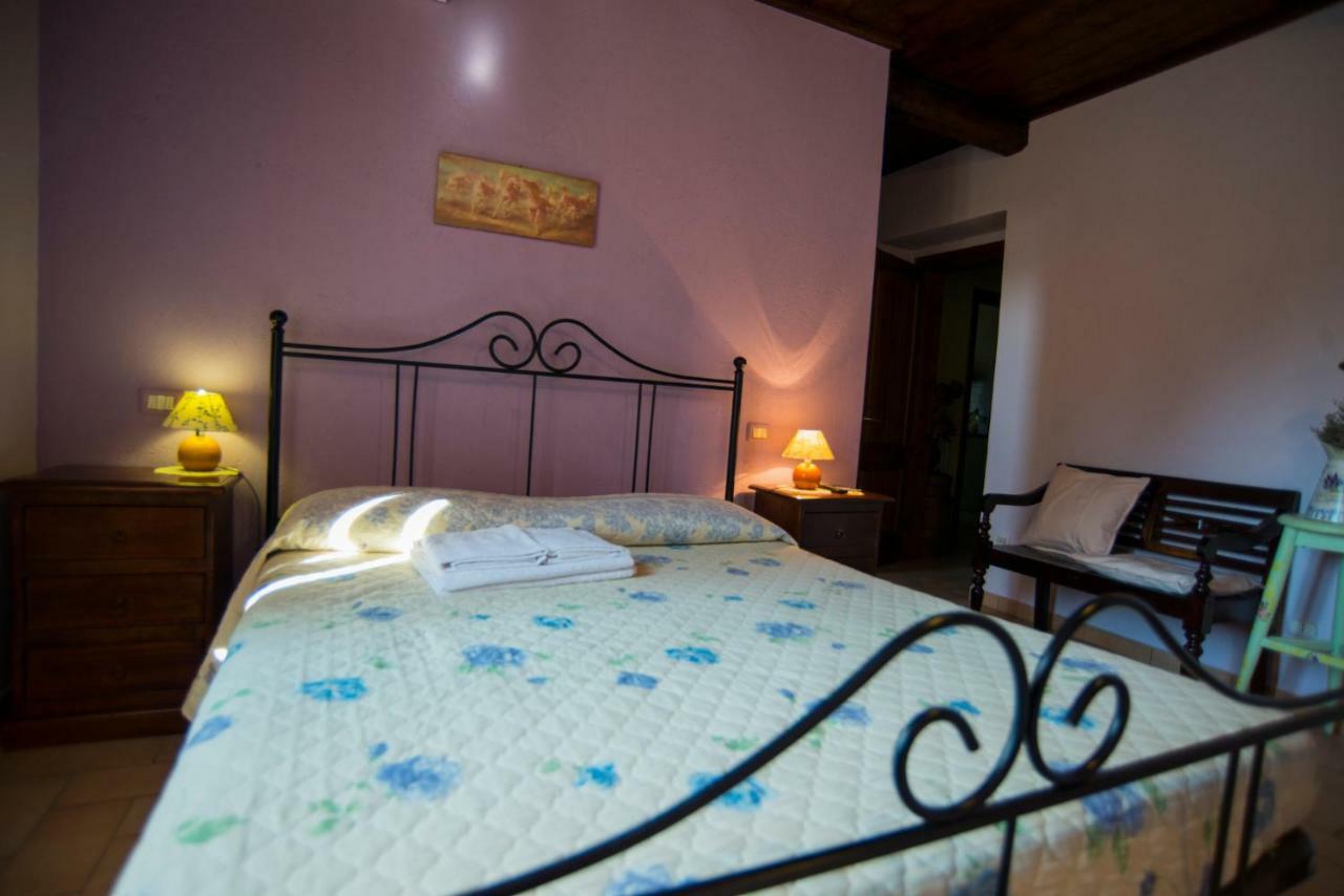 Agriturismo Il Podere Petrignano Ngoại thất bức ảnh