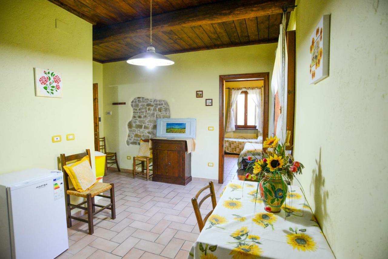 Agriturismo Il Podere Petrignano Ngoại thất bức ảnh