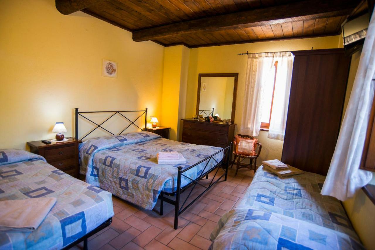Agriturismo Il Podere Petrignano Ngoại thất bức ảnh